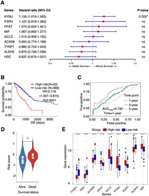 Multi-omics analysis-based clinical and functional significance of a novel prognostic and immunotherapeutic gene signature derived from amino acid metabolism pathways in lung adenocarcinoma